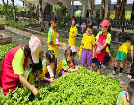 探索香草園、田間作物觀察 --薄荷