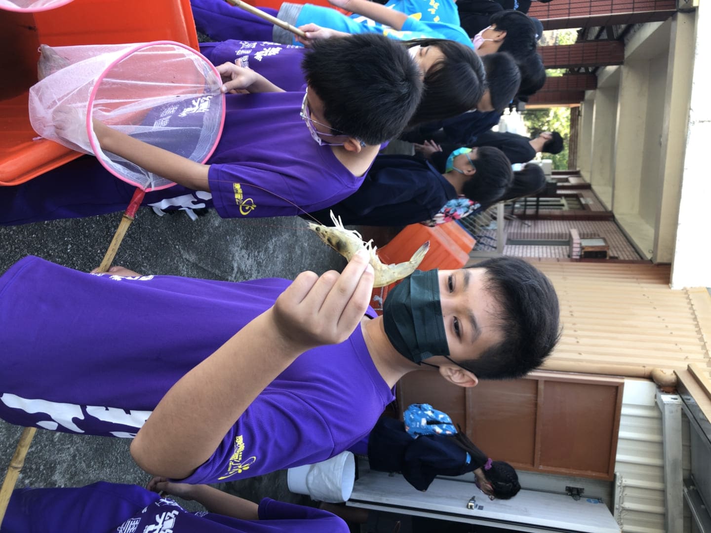 照片 4