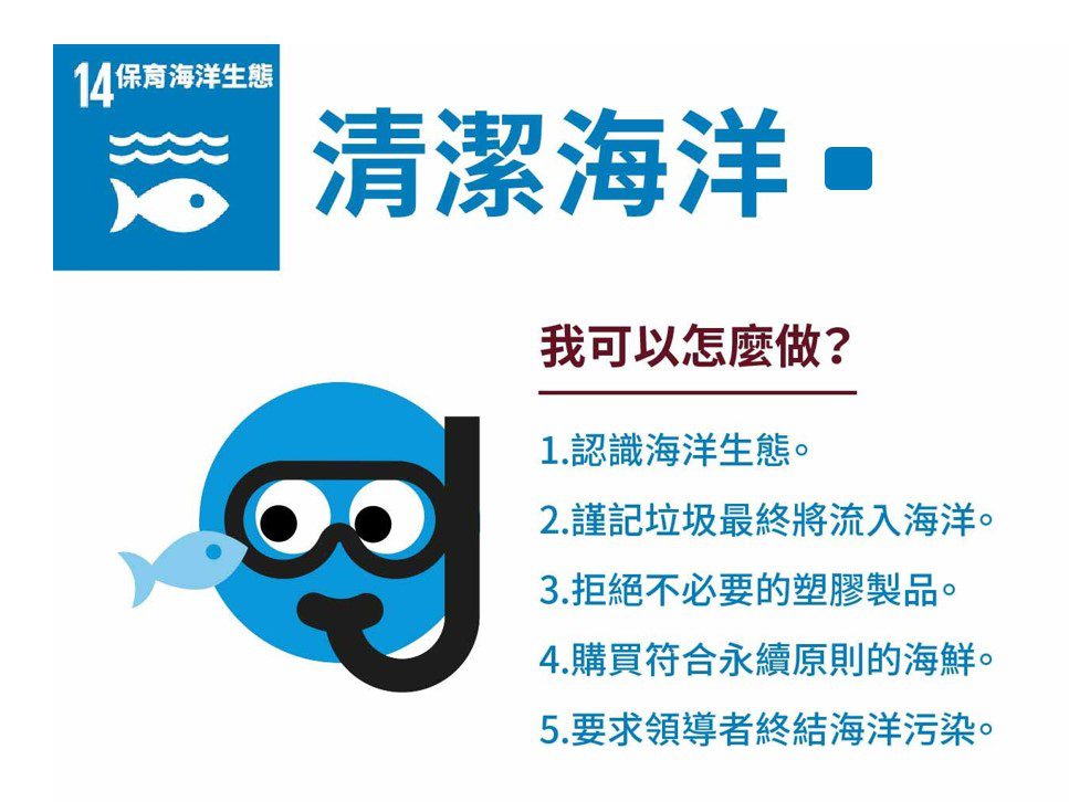 照片 4