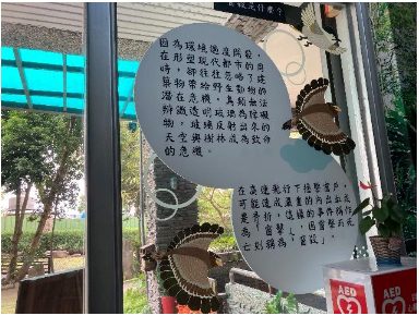 照片 3
