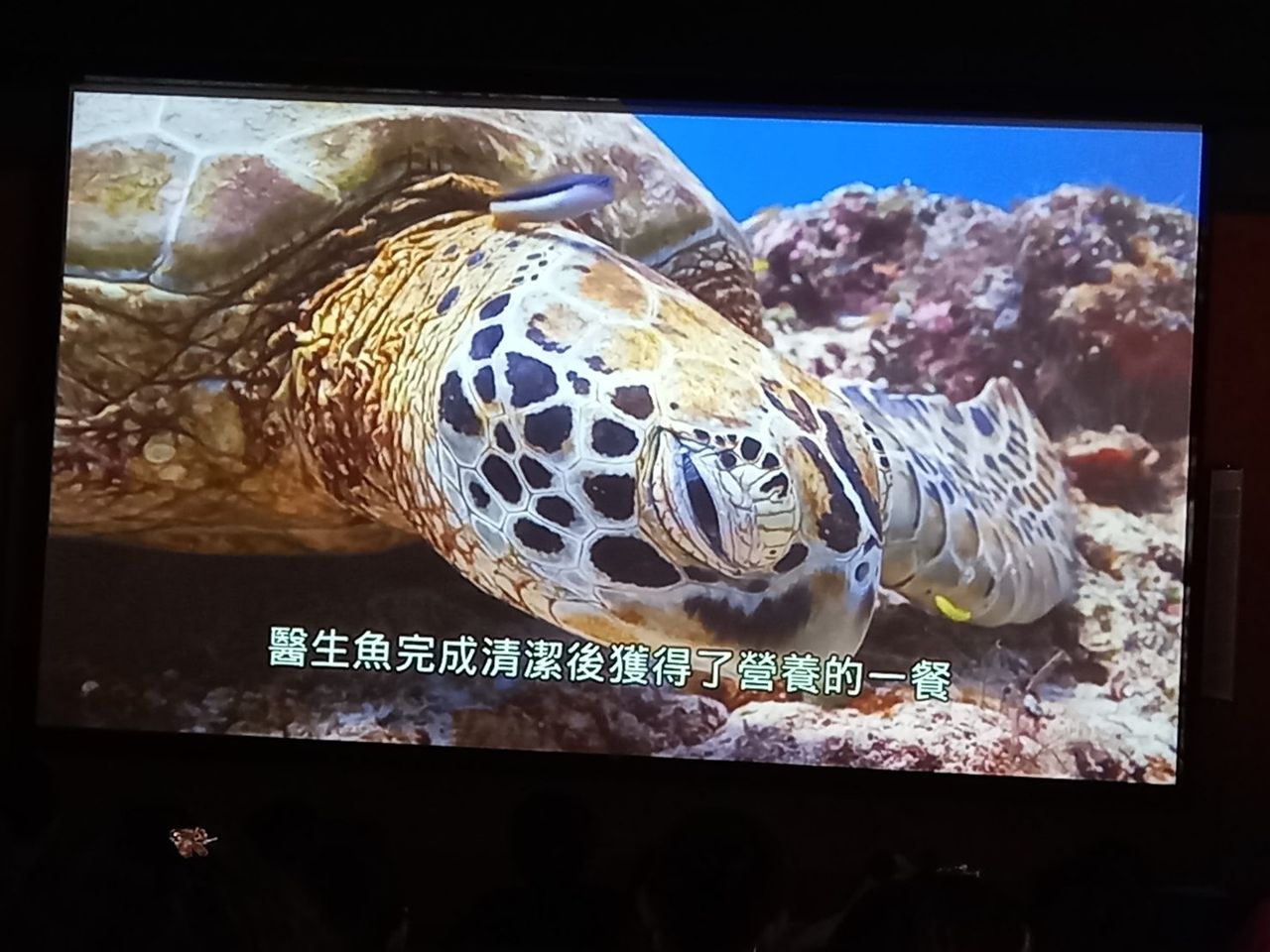照片 2