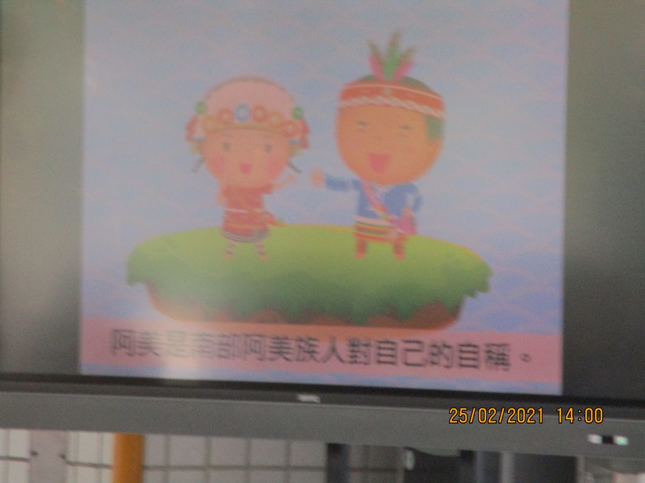 照片 4