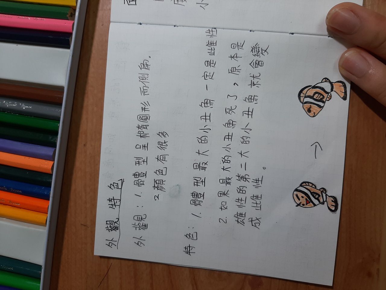 照片 3
