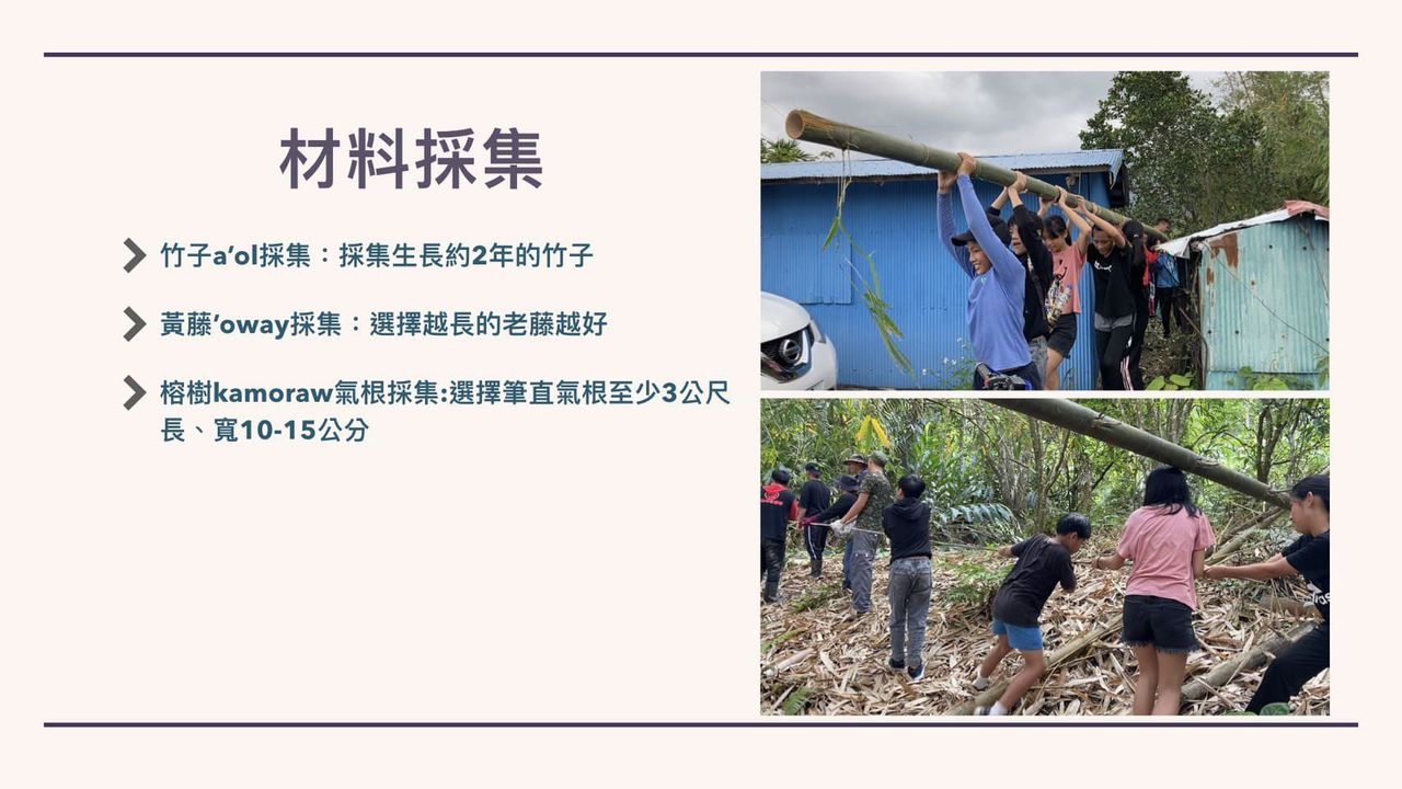 照片 3