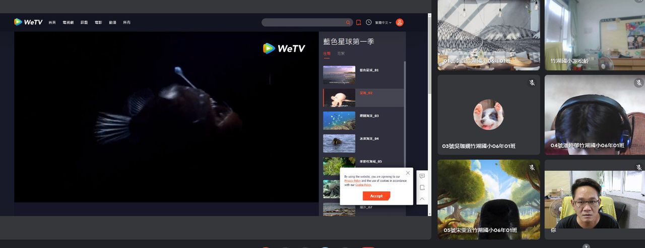 照片 1