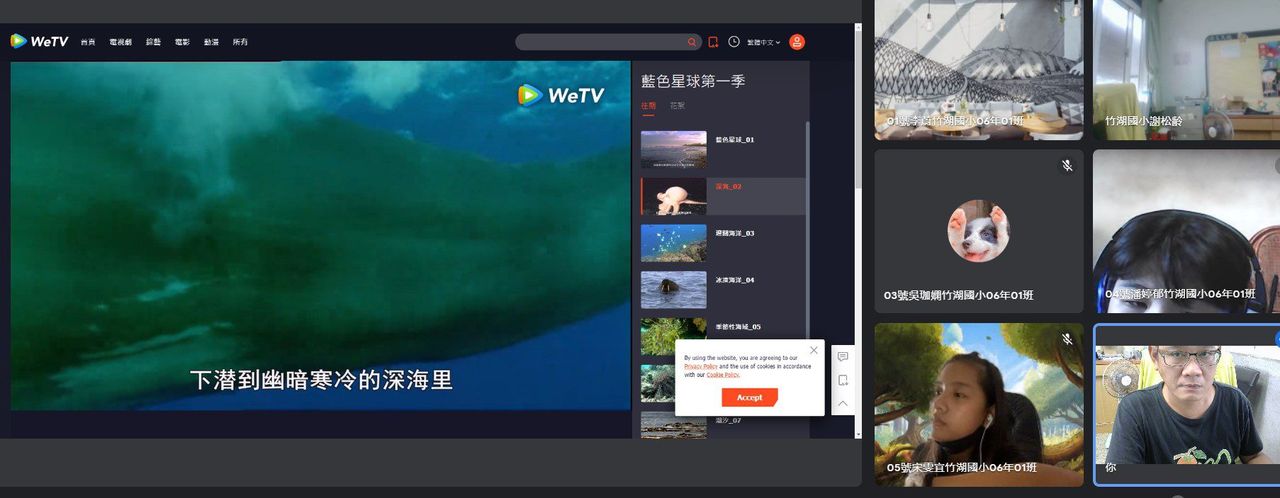 照片 4