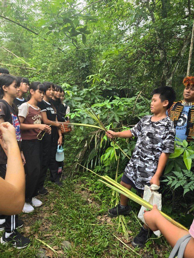 山徑探索、認識野生植物(環境教育) 。