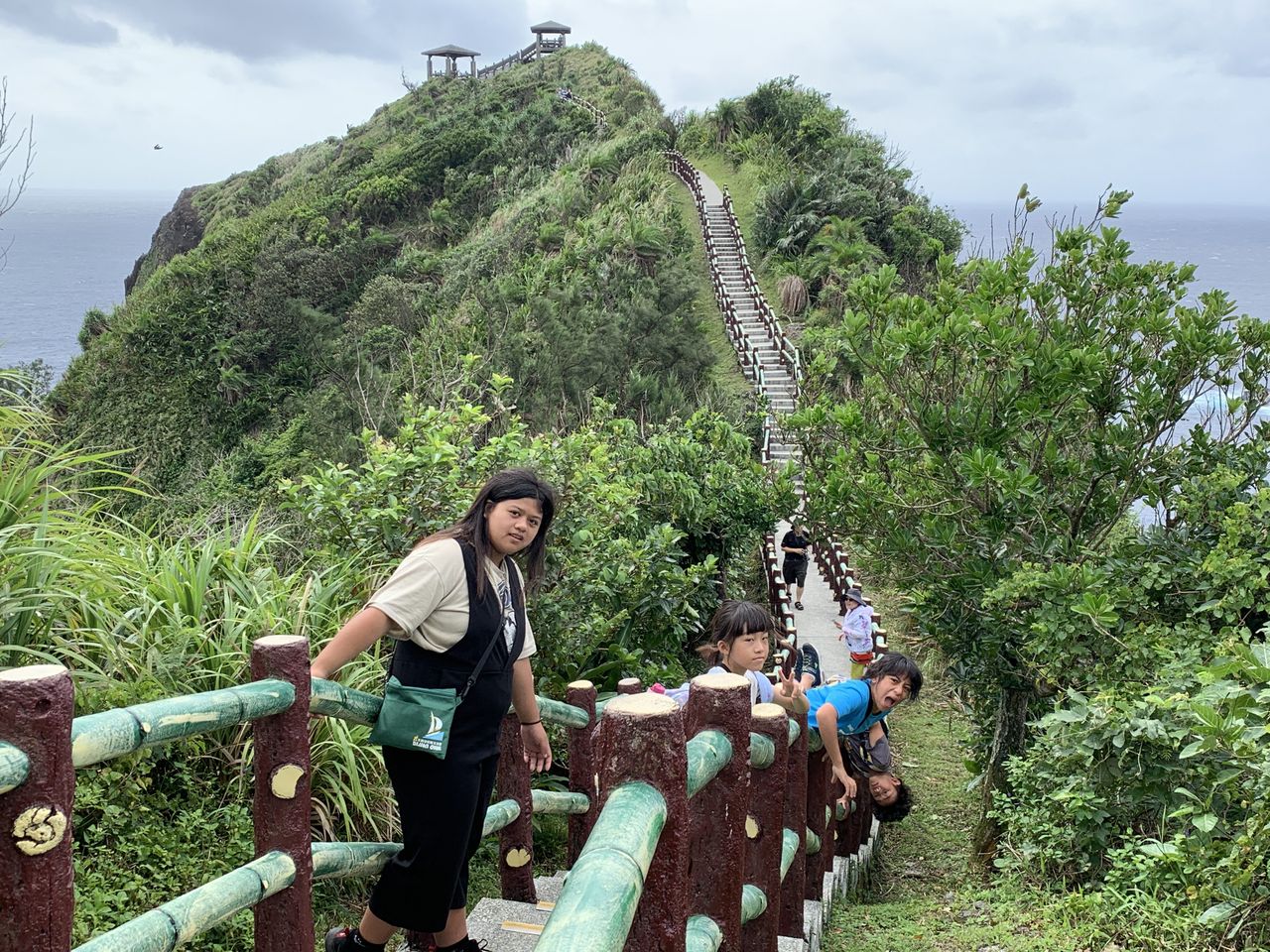 觀看不同的海島景點、生態和風情,了解海島的自然生態與保育