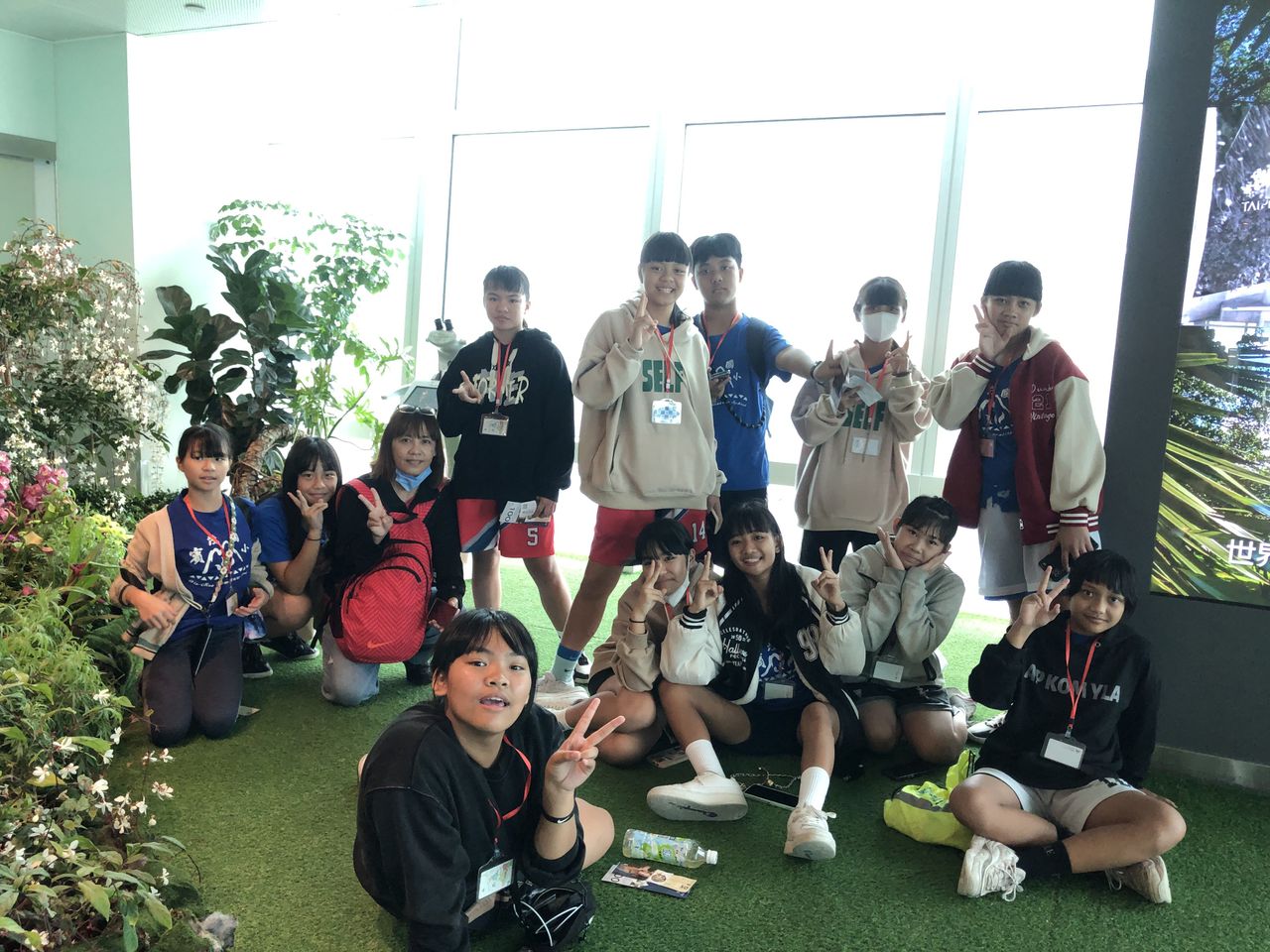 照片 53