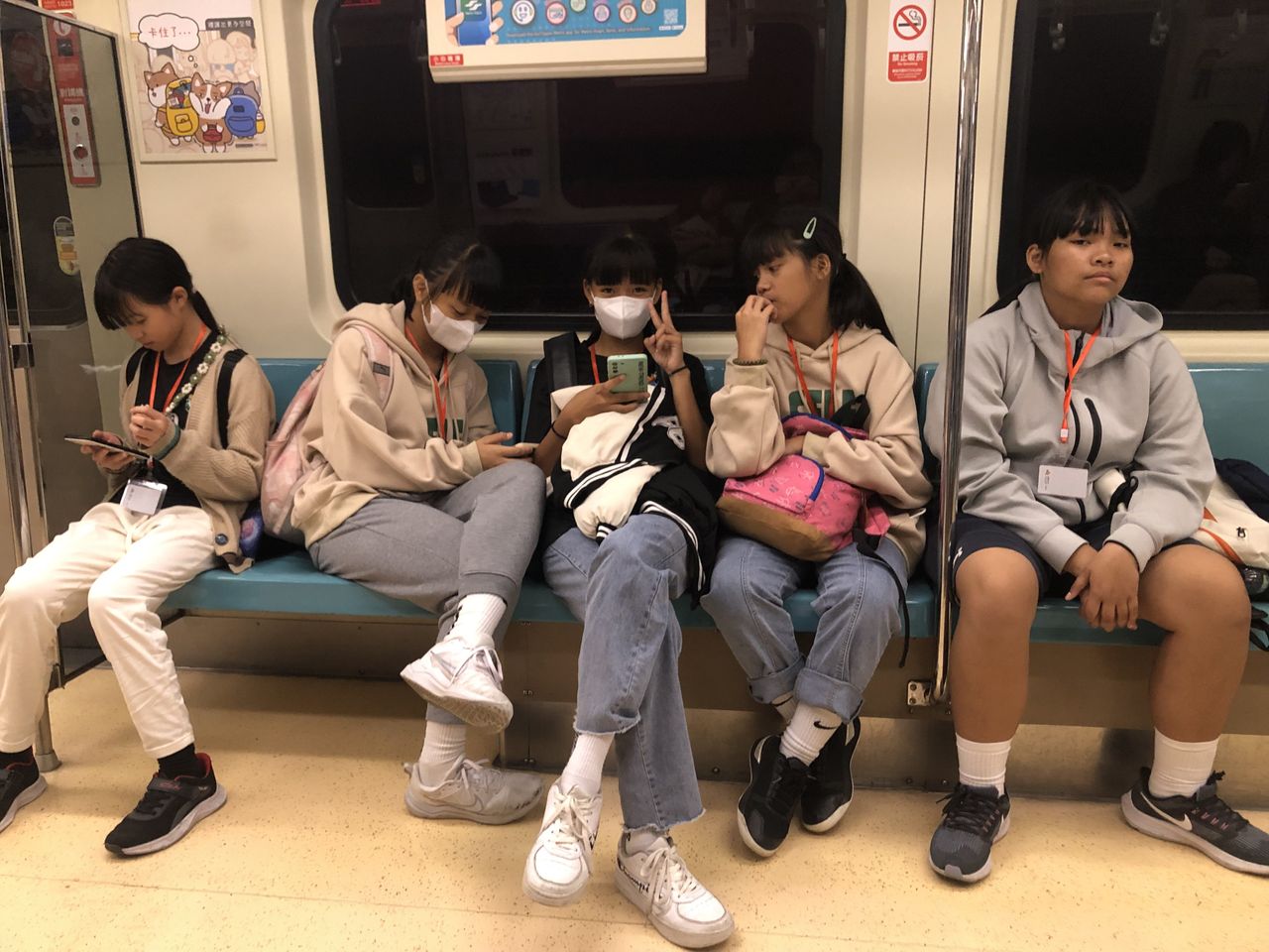 照片 50