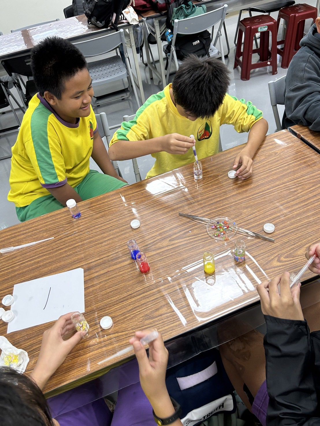 照片 19