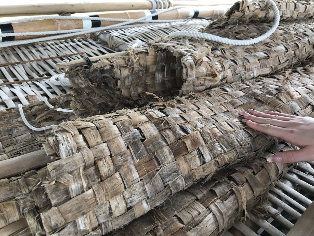用黃槿木纖維製風帆布。