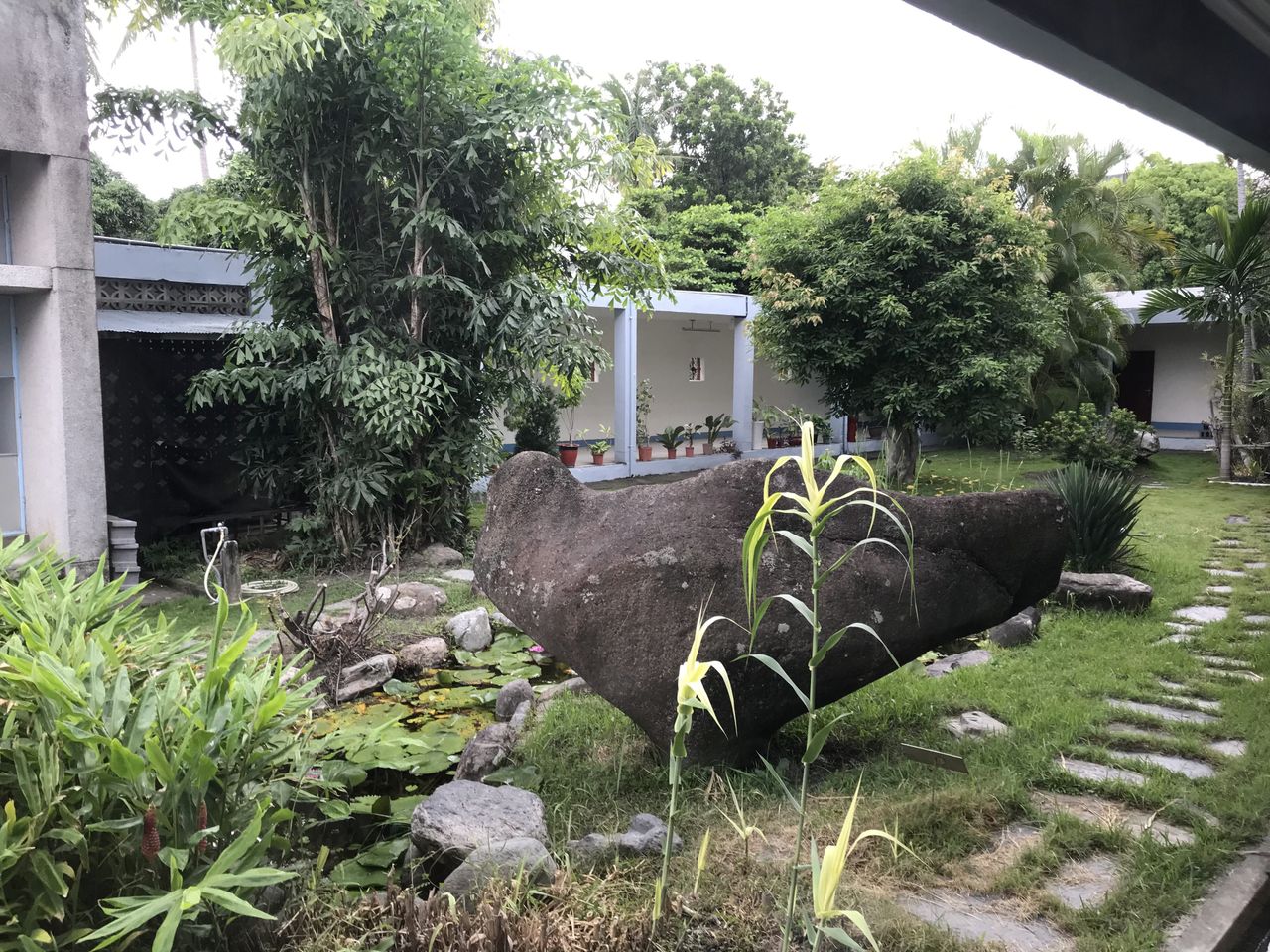 中庭花園