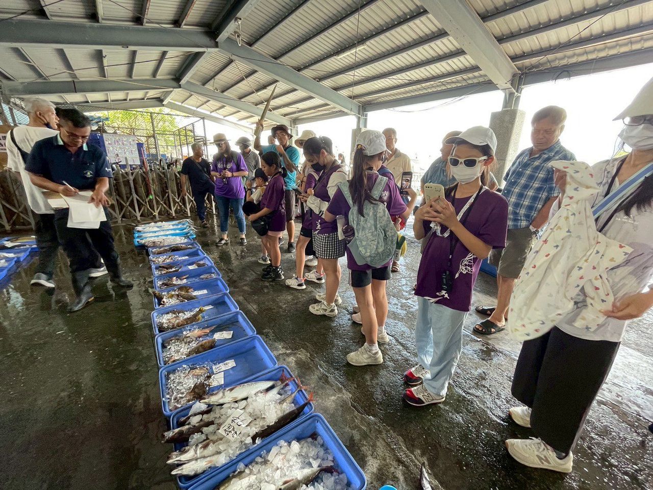 成功魚市導覽