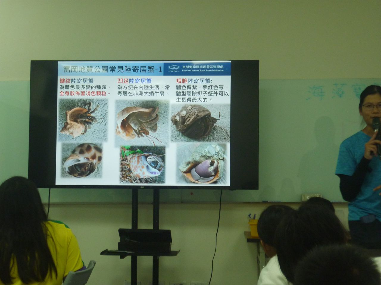 認識寄居蟹